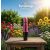 Quiz Let’s Glow Lipgloss gyémántfényű szájfény 7ml No 05