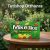 Mike and Ike Original Fruit Candies 120g Gyümölcsös Cukorkák