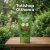 Van Holten’s Pickle Rick & Morty uborka 306g
