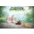 Zaini Disney csokitojás 20g Unikornis/Barbie/Hercegnők