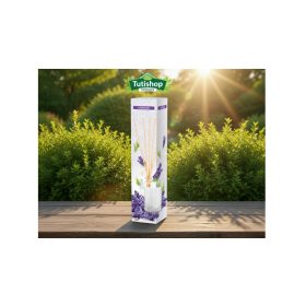 Aura pálcikás aroma diffúzor 45ml Levendula