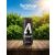 Adrenalin Energiaital 250Ml Classic + DRS