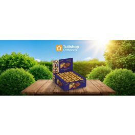 Goplana Kocka Caffe 16G
